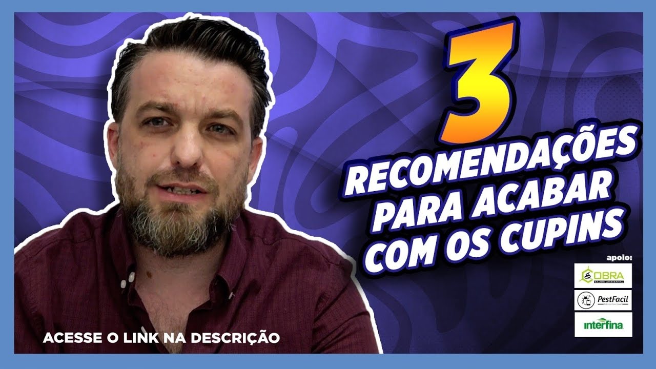 3 recomendações para acabar com os cupins
