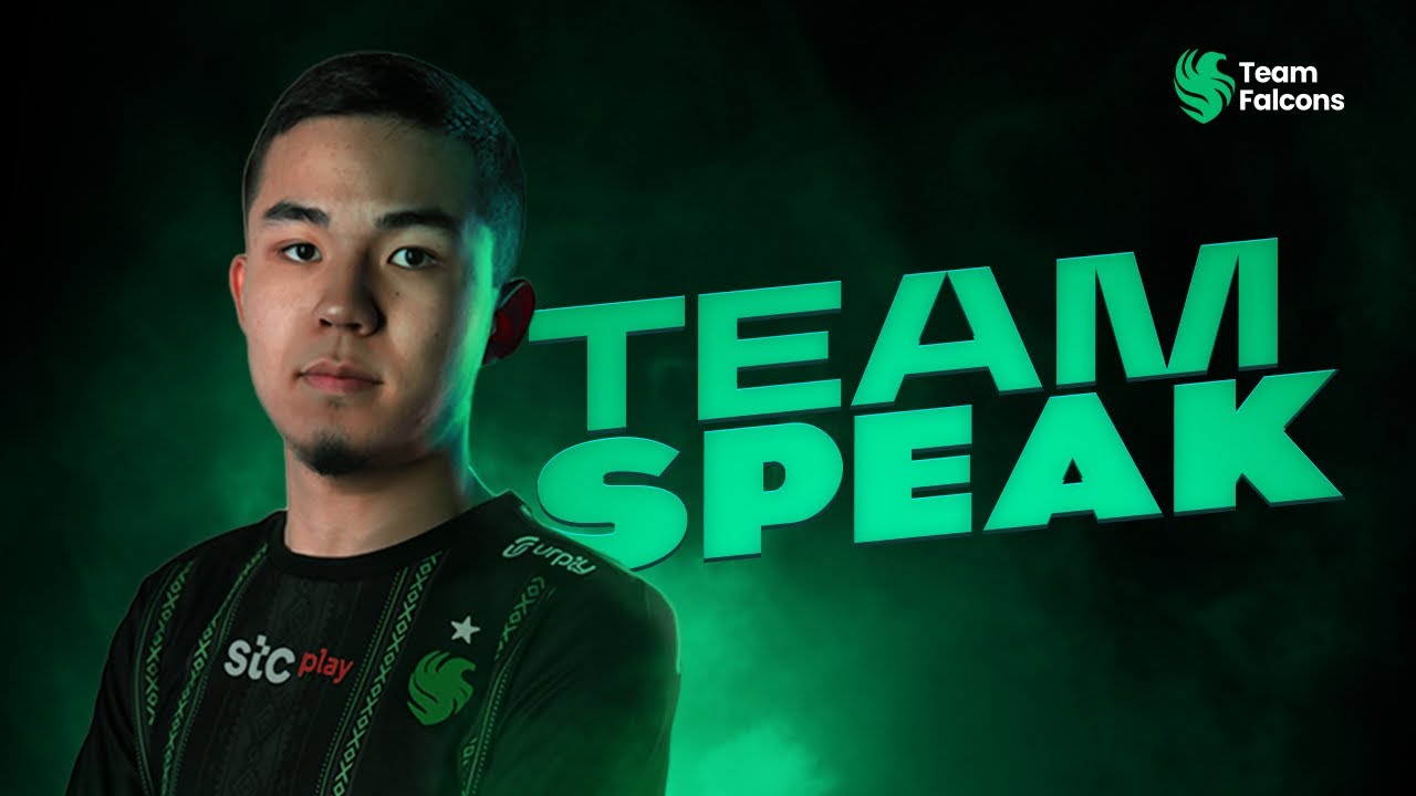 TEAMSPEAK | TOURNAMENT NeBoldy | SOLO 9KILL 🔥