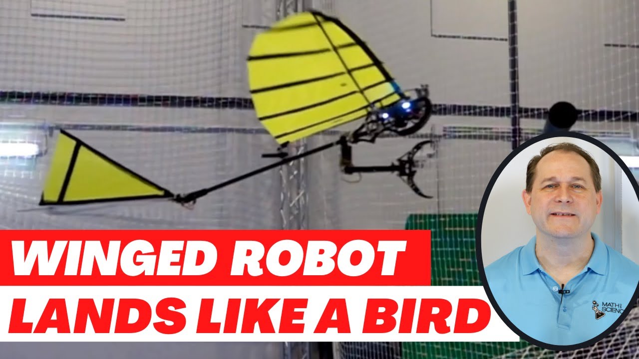 New Research - Winged Robot that Lands Like a Bird!