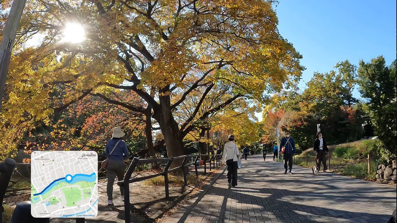 練馬区 石神井公園 2022 11 6