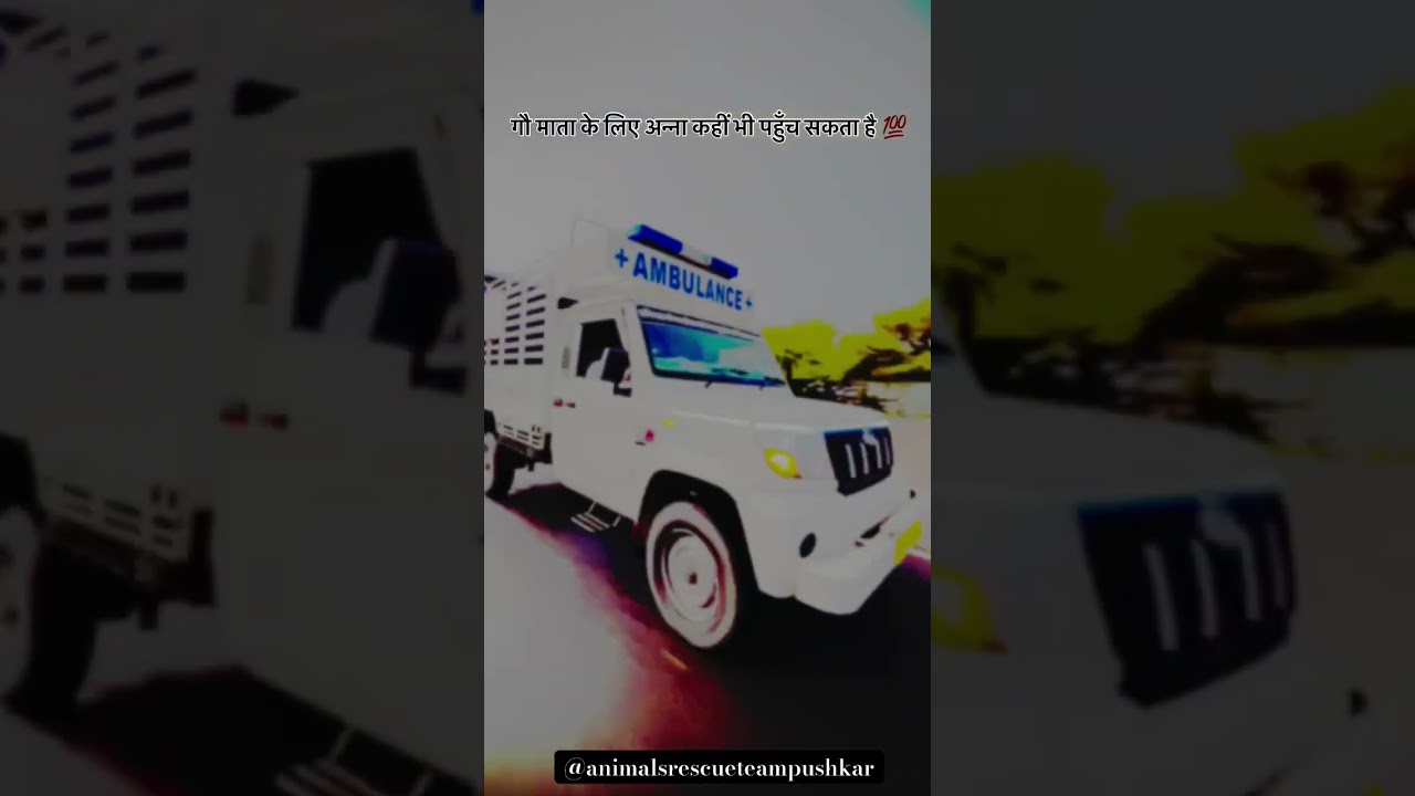 गऊ माता के लिए भी 24 घण्टे सेवा में 