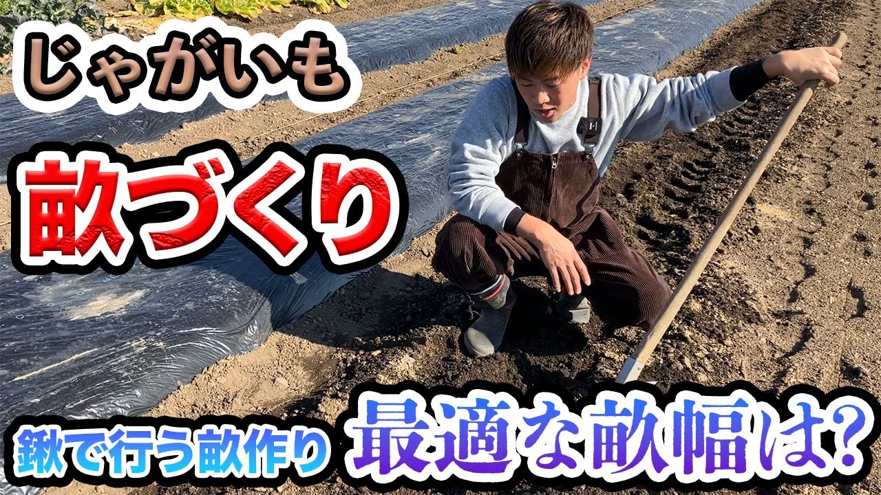 【じゃがいも】大きく育つためのうねの作り方