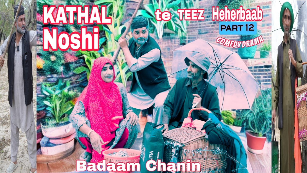 KATHAL NOSH TE TEEZ HEHERBAAB | BADAAM CHANIN | Part 12