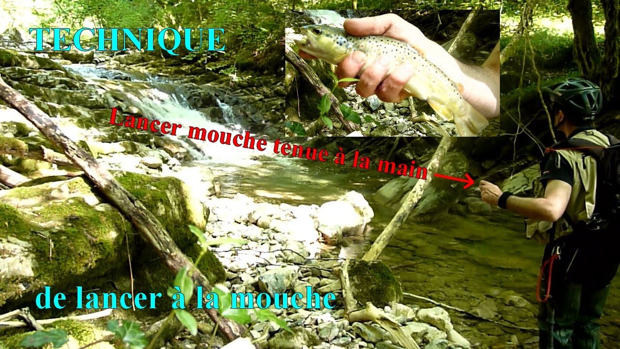 Lancer , mouche tenue &agrave; la main. Technique p&ecirc;che &agrave; la mouche.