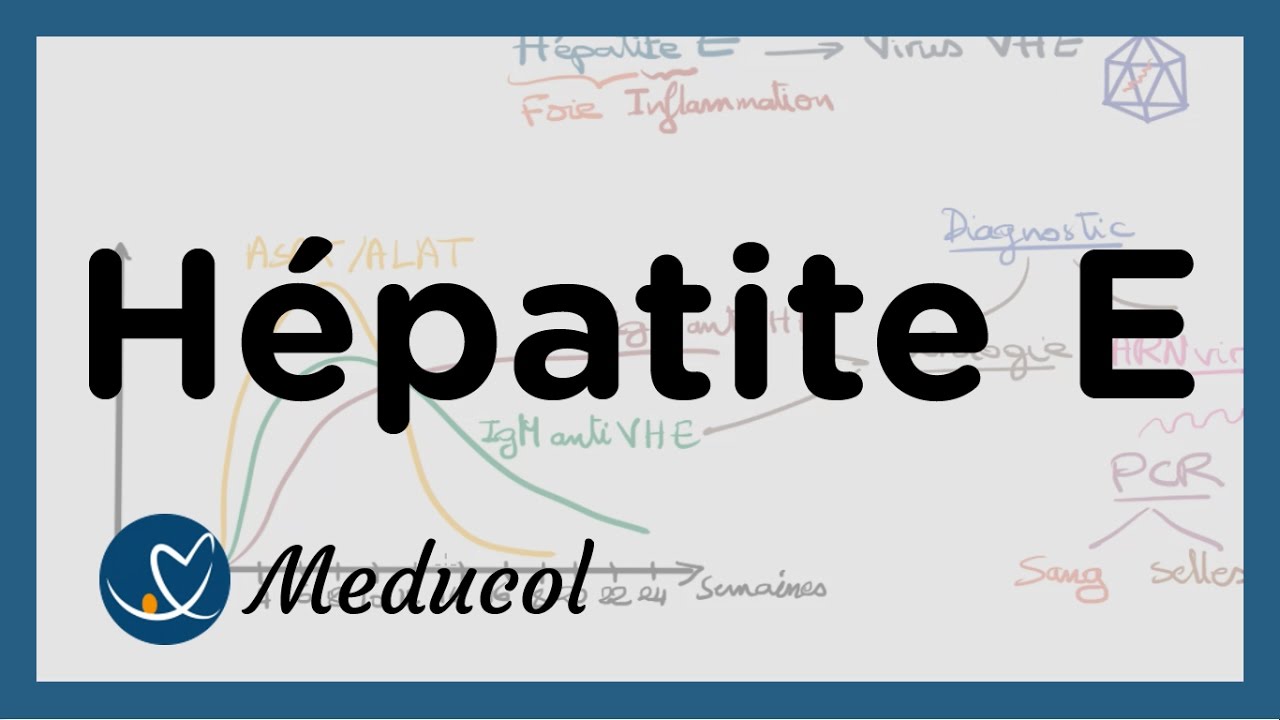 Hépatite E: symptômes, transmission, diagnotic et traitement