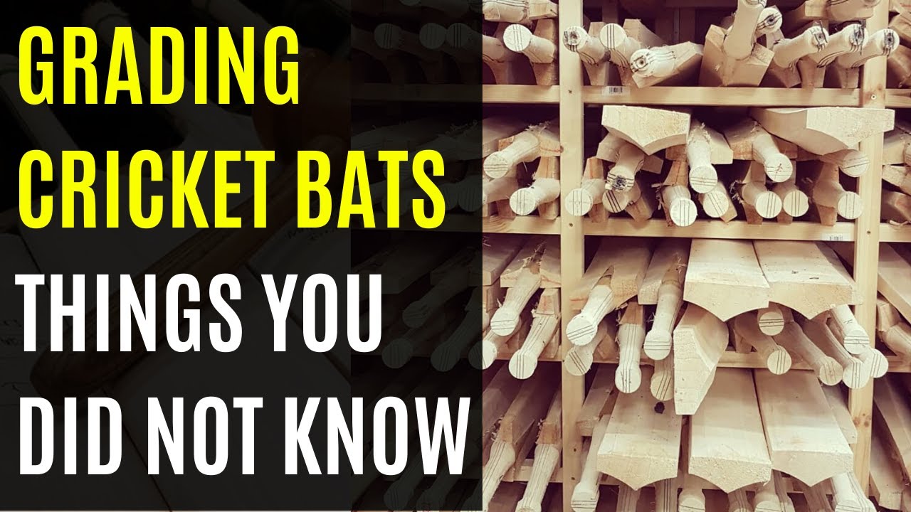 Things You Did Not Know About Grading Cricket Bats