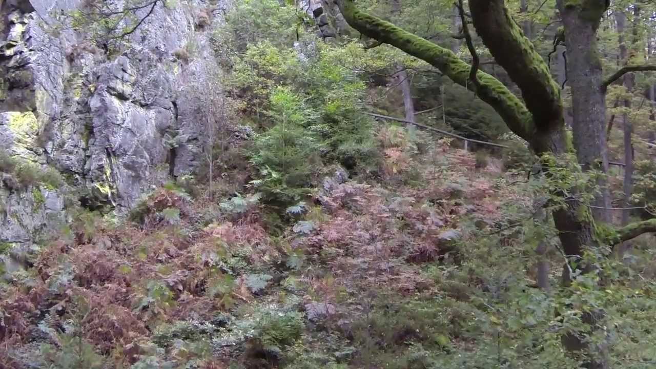 Rocher de Bilisse - vallée de la Statte - Solwaster
