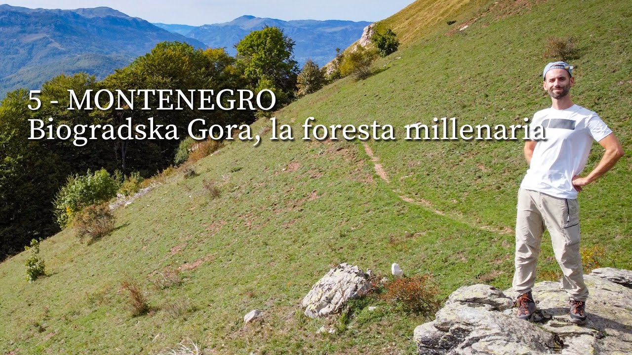 MONTENEGRO - Biogradska Gora, la foresta millenaria (Ep. 05)