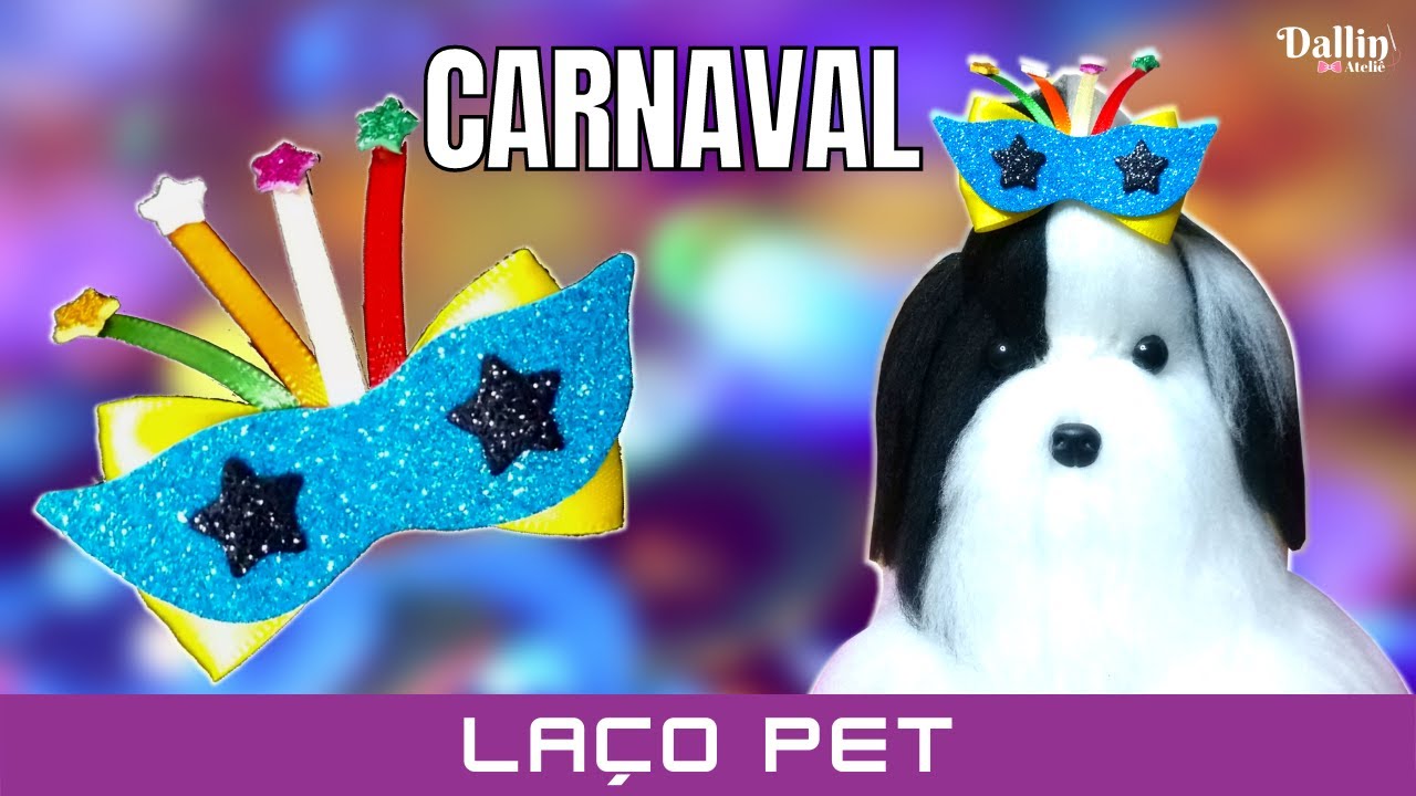 Carnaval: Laço Pet Simples Com Óculos (Muuito Fácil)