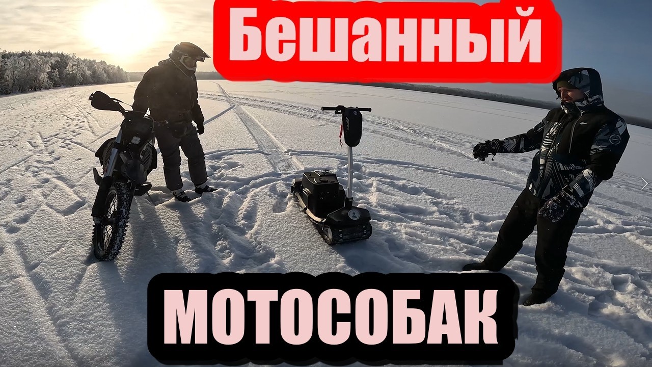 Бешанный мотособак превращает -20 в веселую покатуху! Что только не придумаю - чтобы дома не сидеть!