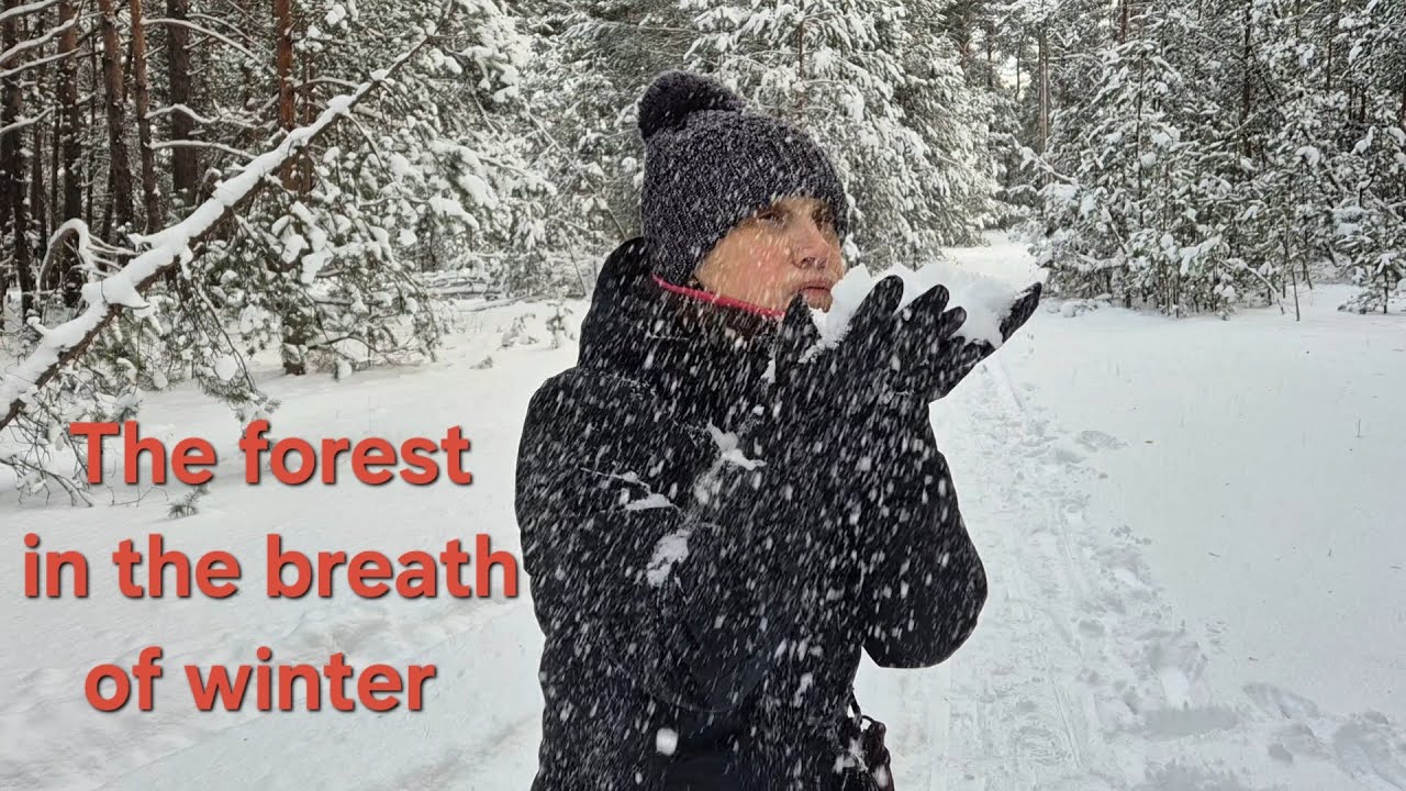 The forest in the breath of winter