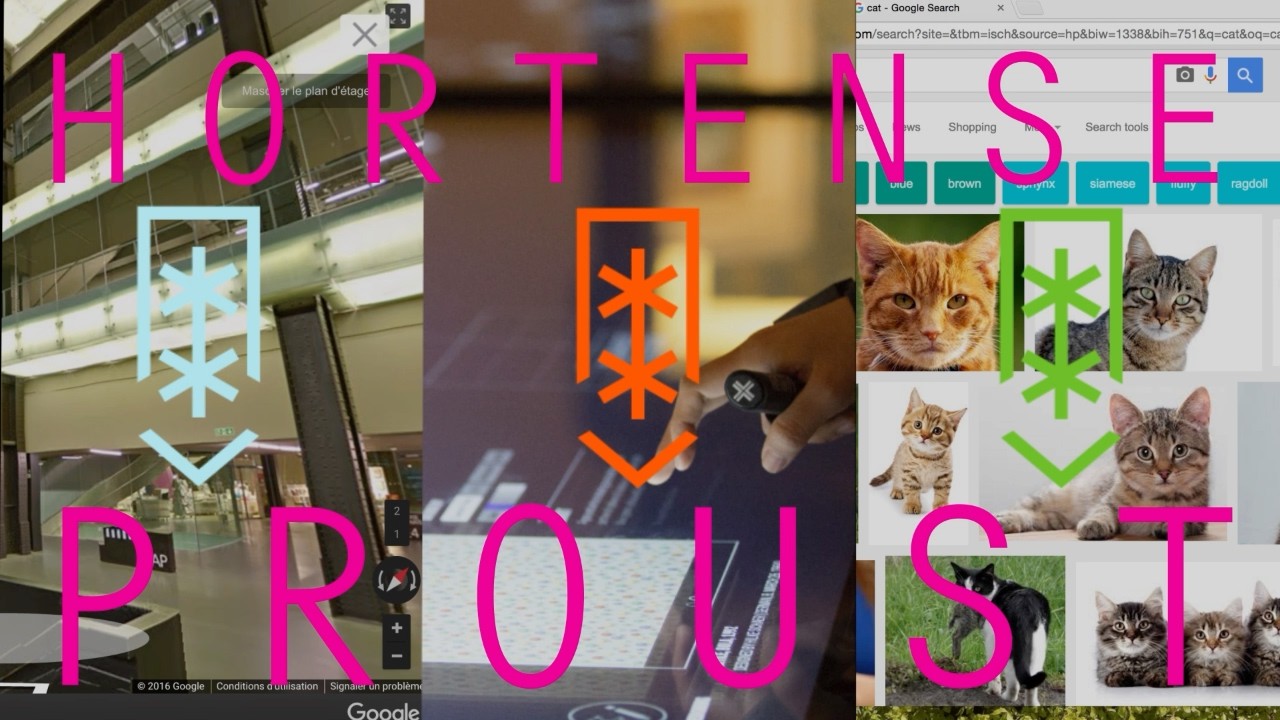 VITAL SIGNS / Hortense Proust - A Closer Look at Digitization and its Impacts on the Exhibition