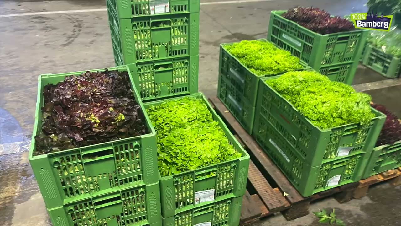 Ali Berti vom Berti – Markt kauft auf dem Großmarkt ein