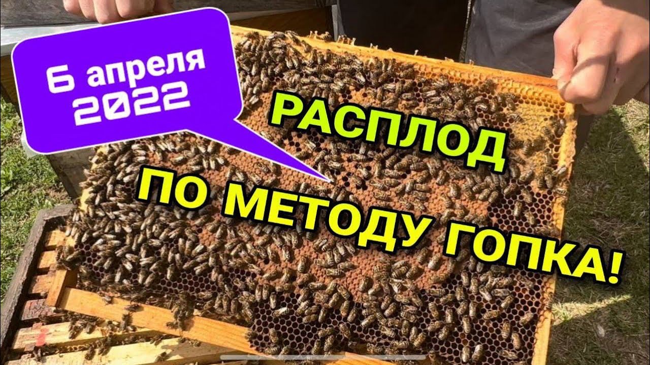 Результат эксперимента по методу ГОПКА ( часть 3)