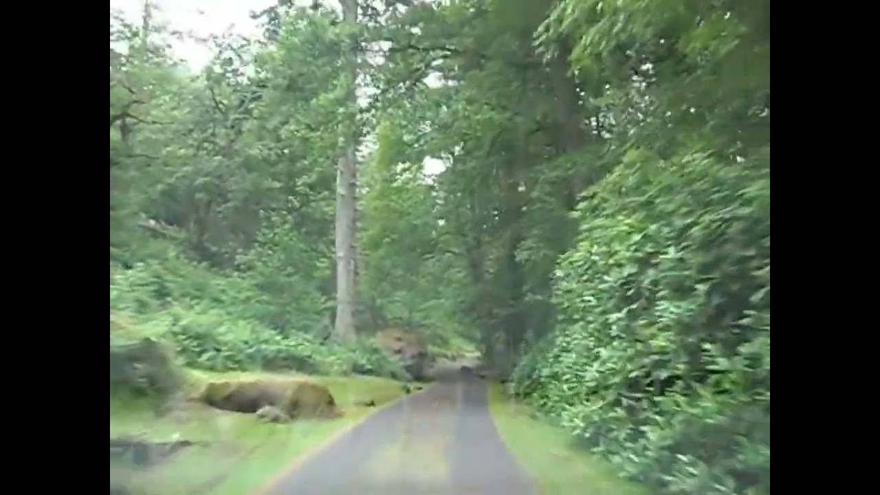 Cragside House 6 Mile Carriage Drive #cragside #CarriageDrive #northumberland #HistoricEstates
