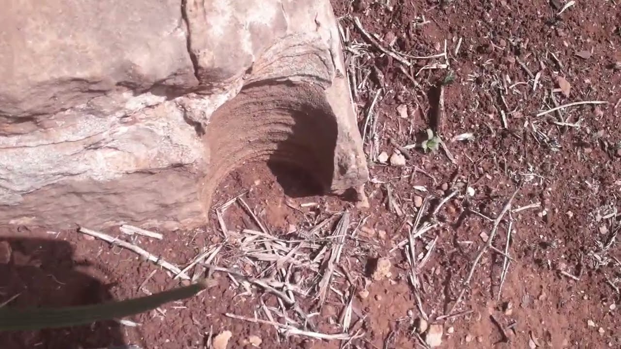 احسن واجمل الرموز اهداف سهلة جدا
