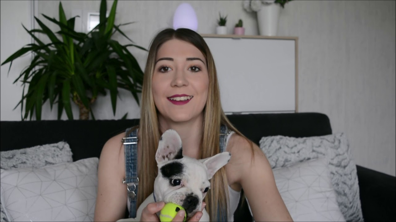 Présentation de mon bouledogue français 😍