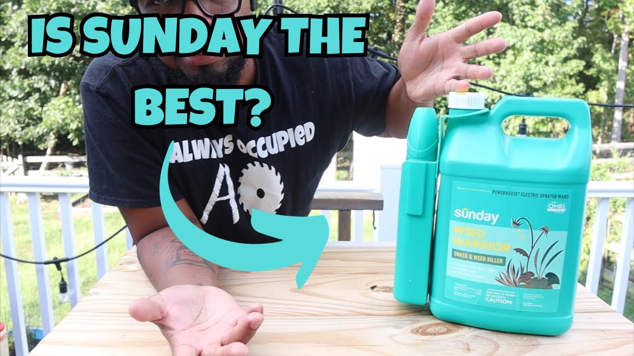 SUNDAY GRASS AND WEED KILLER REVIEW!!!