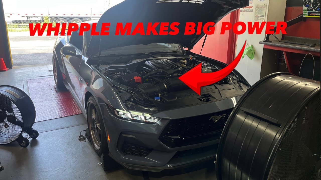 2024 Whipple Mustang Makes Big Power 875hp! +First Drive!