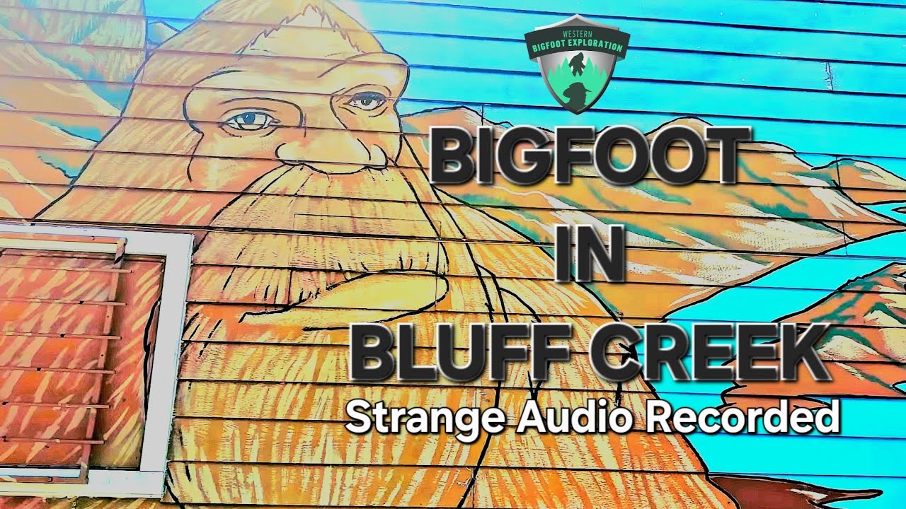 -Bigfoot In Bluff Creek- (+Strange Vocalization Captured!!!) A documentary