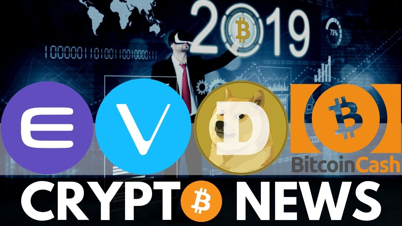 Bitcoin Recovery in 2019, Big Enjin Coin Update, BCH Delisting, VeChain, Dogecoin - Crypto News