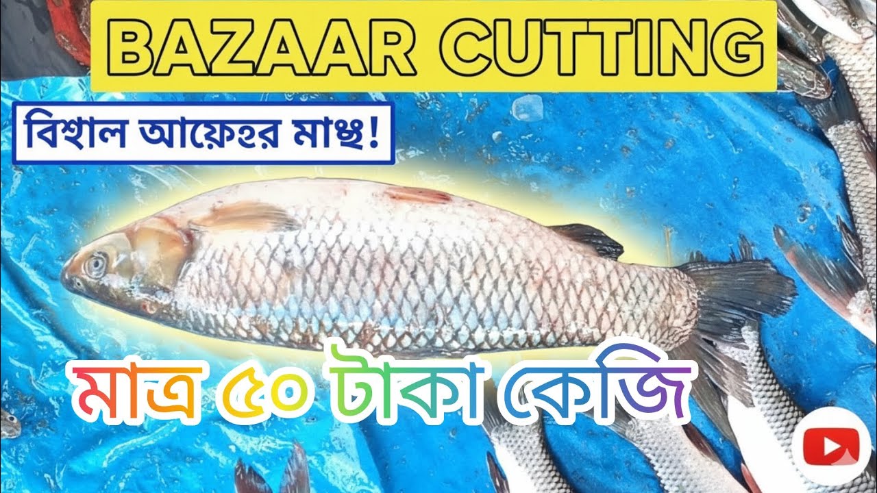 মাত্র ৫০ টাকা কেজি মাছ! অবিশ্বাস্য সস্তায় বড় বড় মাছ কিনুন 🐟Cheapest Fish Market: Only Rs 50 Per KG!