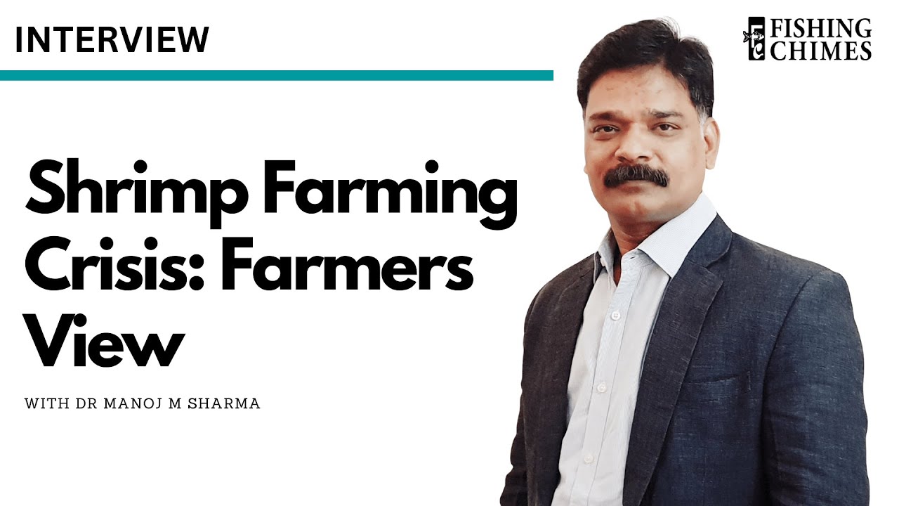 Shrimp Farming Crisis: A Farmers View