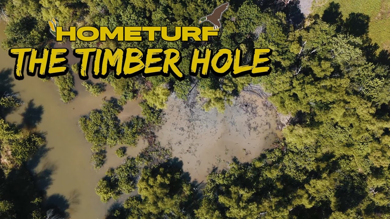 Creating a FLOODED TIMBER DUCK HOLE in the Creek Bottom! | #HOMETURF EP10