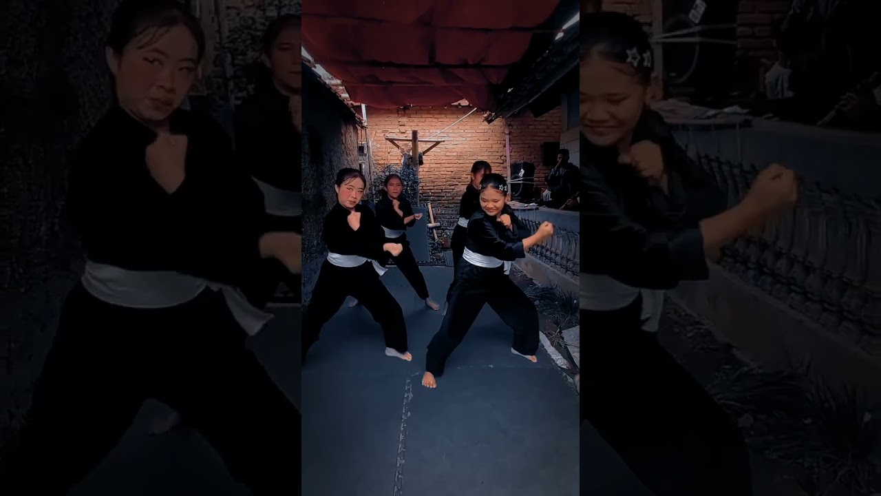 Pencak silat pangaping diri