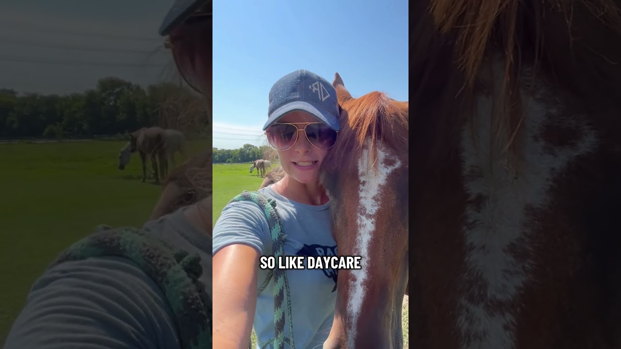 What would your horses job be? #horses #horseriding #horsegirl