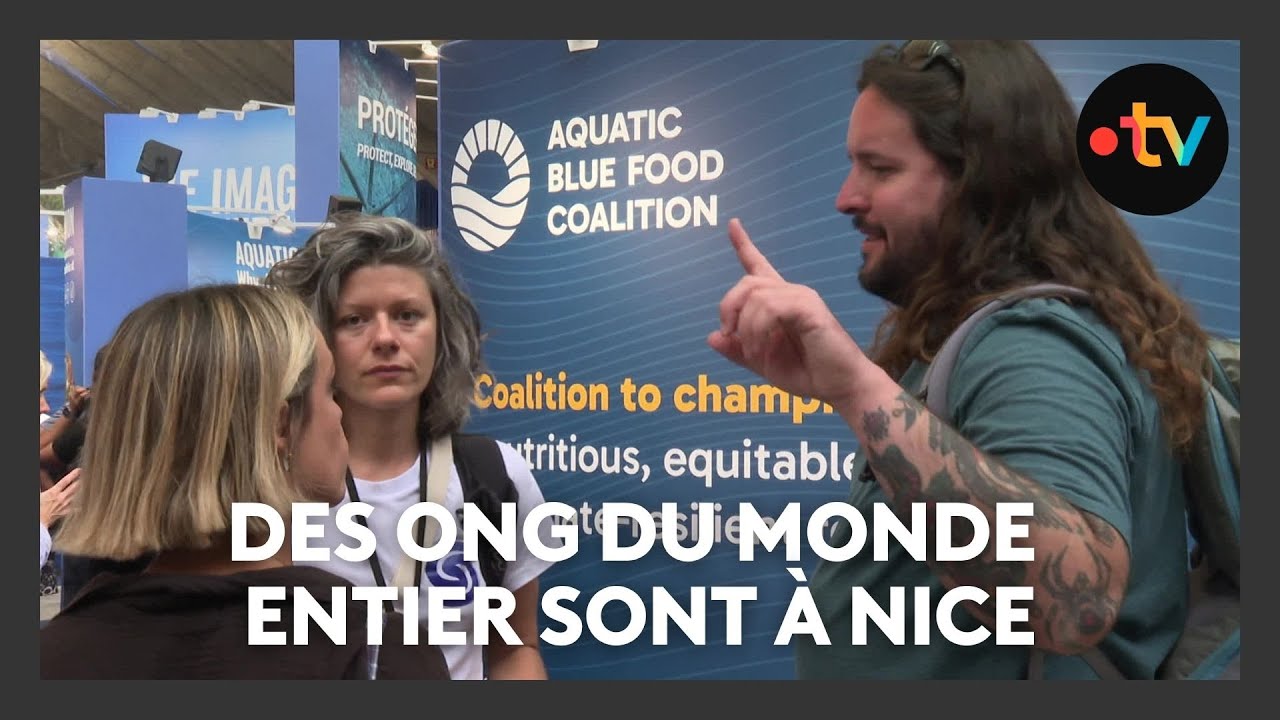 Unoc 2025 : des ONG du monde entier sont à Nice pour sensibiliser à la protection des océans