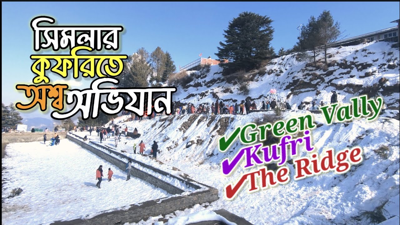 সিমলার কুফরিতে একদিন || Shimla Tour 2024