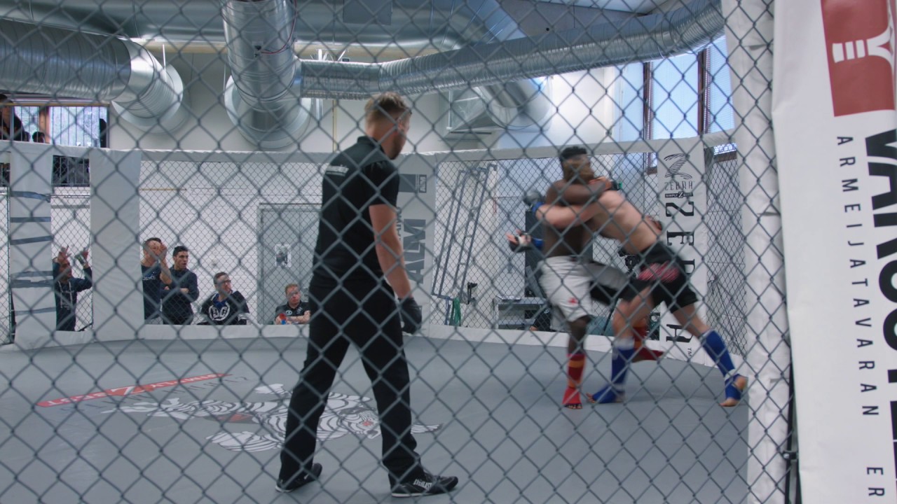 22.4.2017 MMA HardKnocks 16 . Male, C class, - 83.9 kg