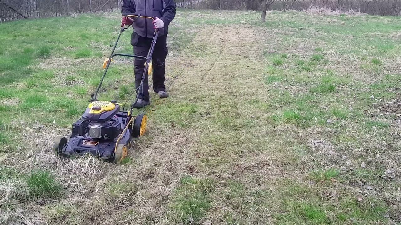 pierwsze koszenie po zimie
