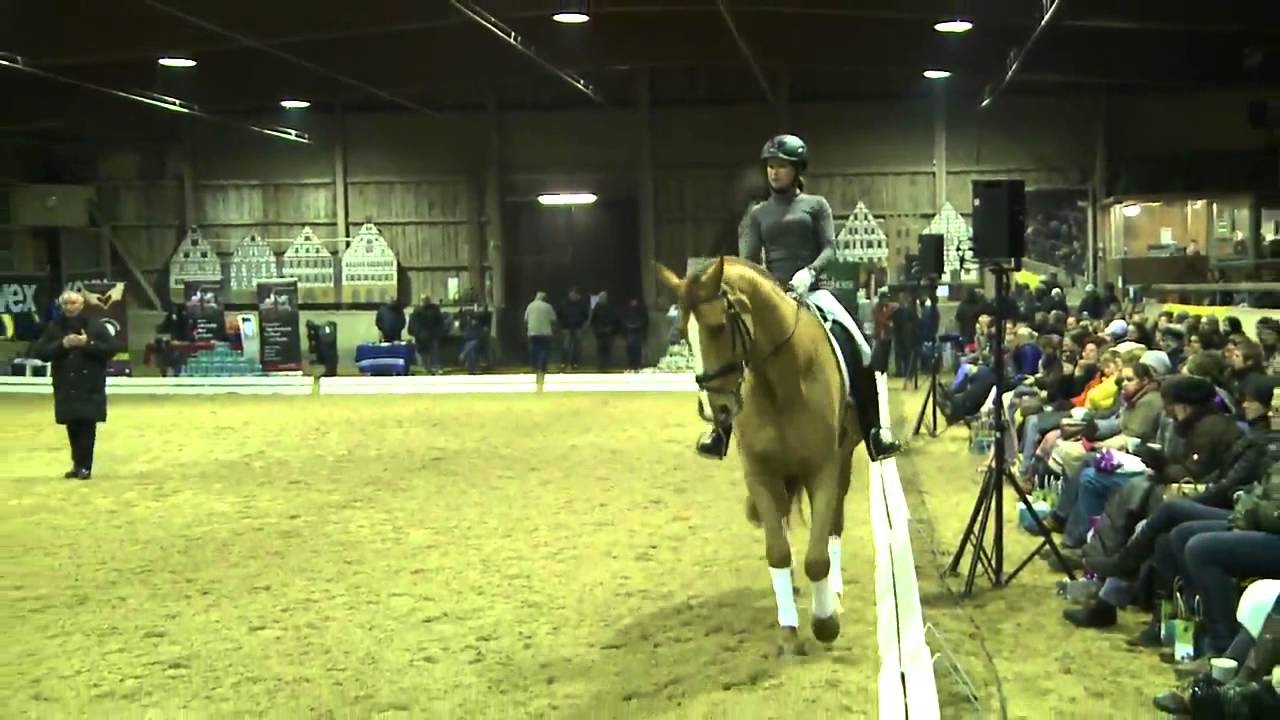 Klaus Balkenhol - Alte Meister - in Stuttgart, Leonberg - Teil 3b