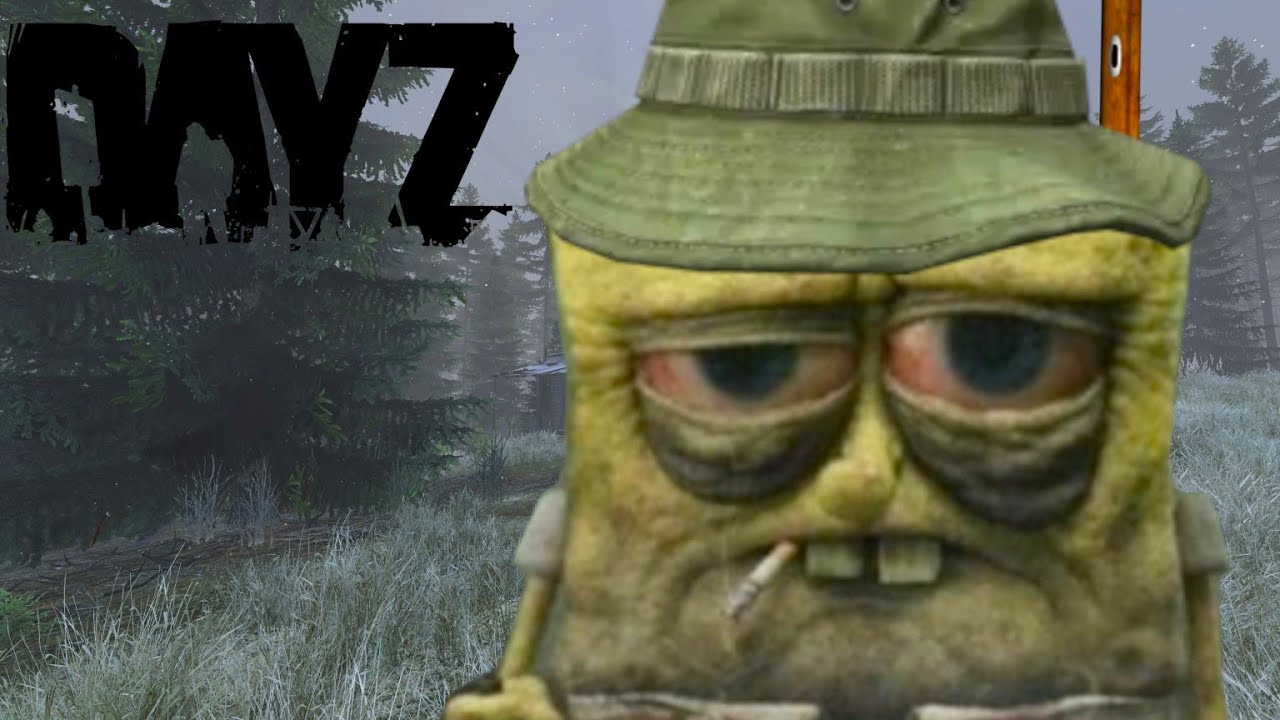 Suffering in DayZ