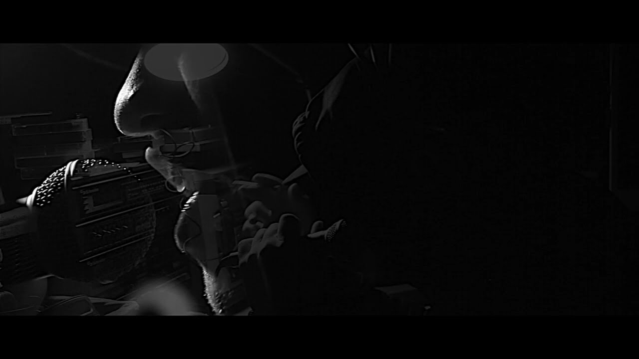 Rumore - Girasoli (BACKGROUND VIDEO)