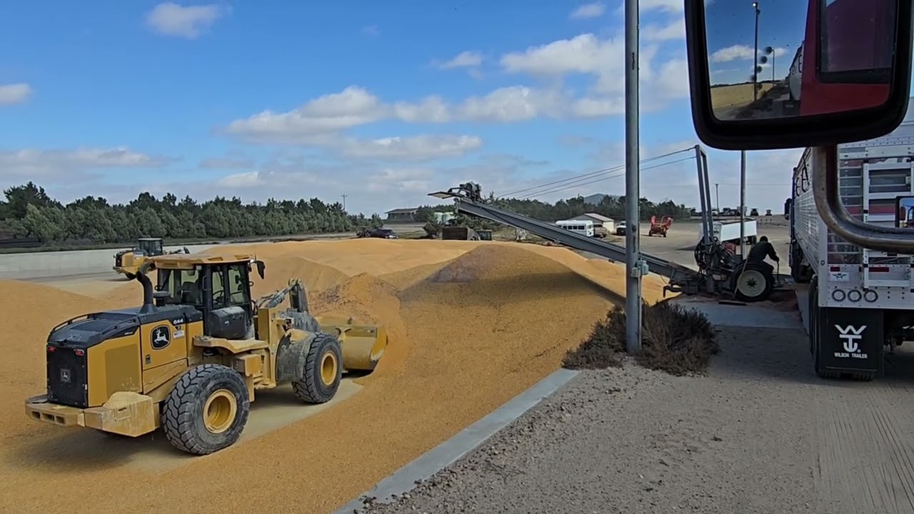 Building a Mountain of High-Moisture Corn Silage 🌽 | Insanely Busy Day at the Feedlot!