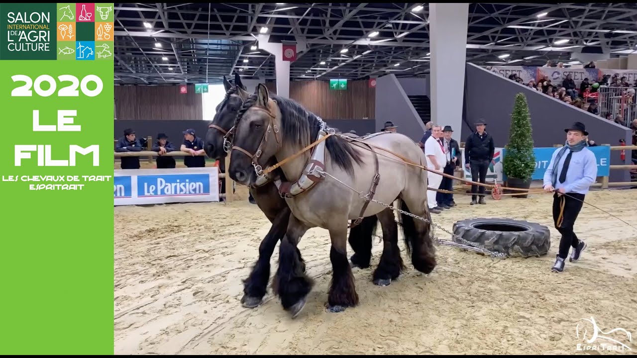 Les Chevaux de Trait au Salon International de l'Agriculture de Paris - Le Film