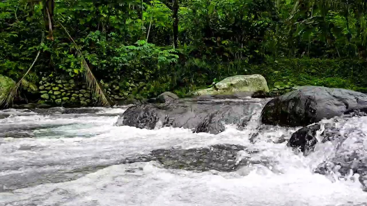 Powerful Jungle River | Calming Water Sounds for Sleep & Stress Relief (4K)