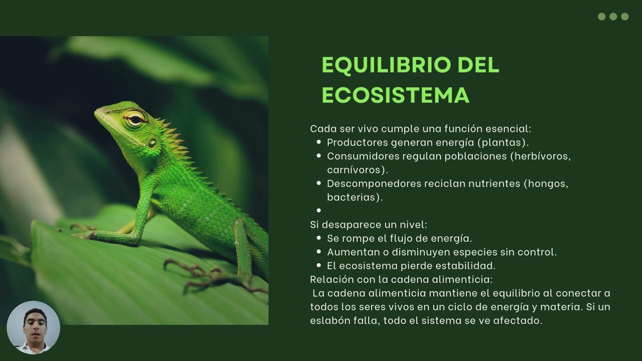 La Cadena alimenticia y el equilibrio del ecosistema