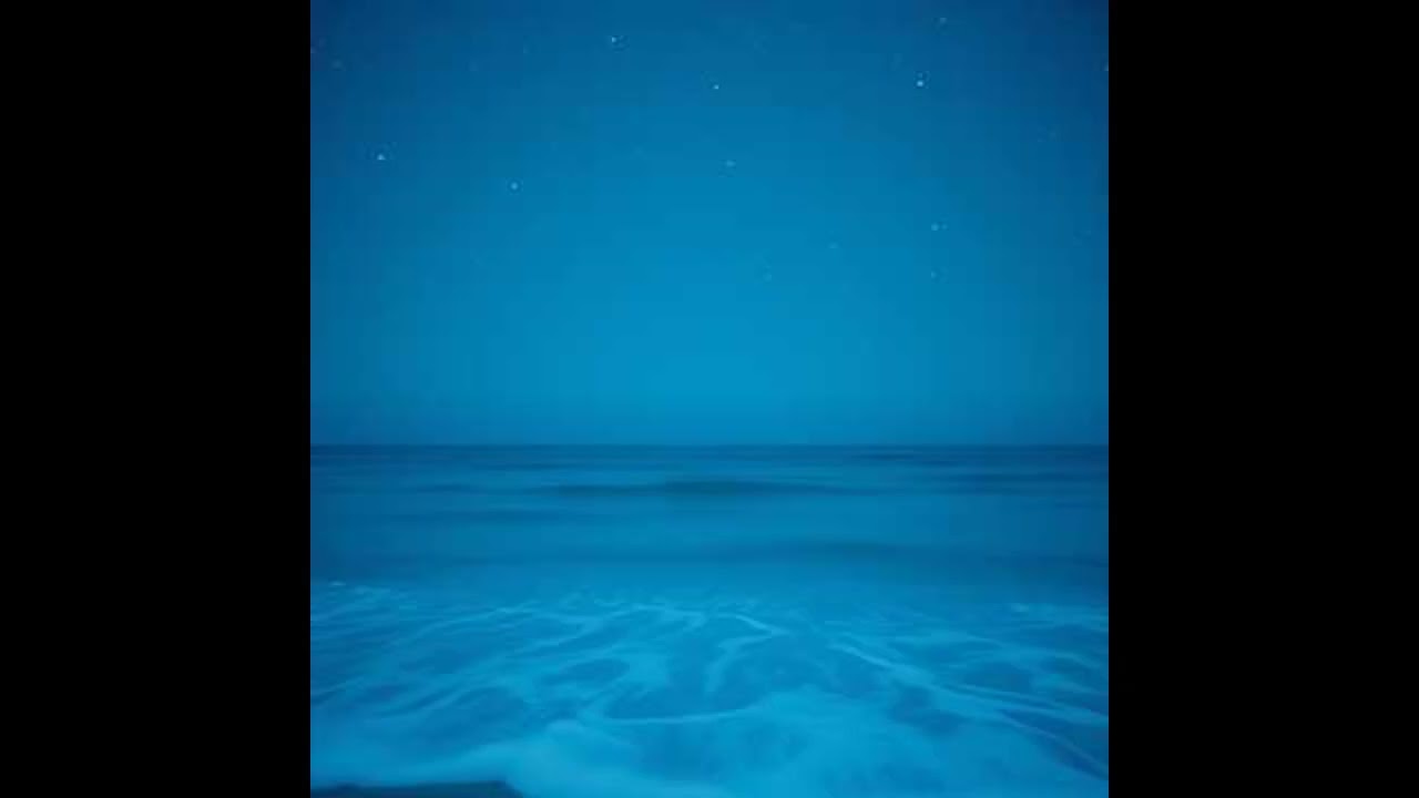 Moonlit Ocean Serenade