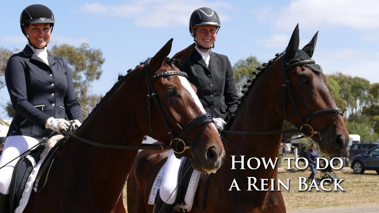 HOW TO DO A REIN BACK - Dressage Mastery TV Episode 35