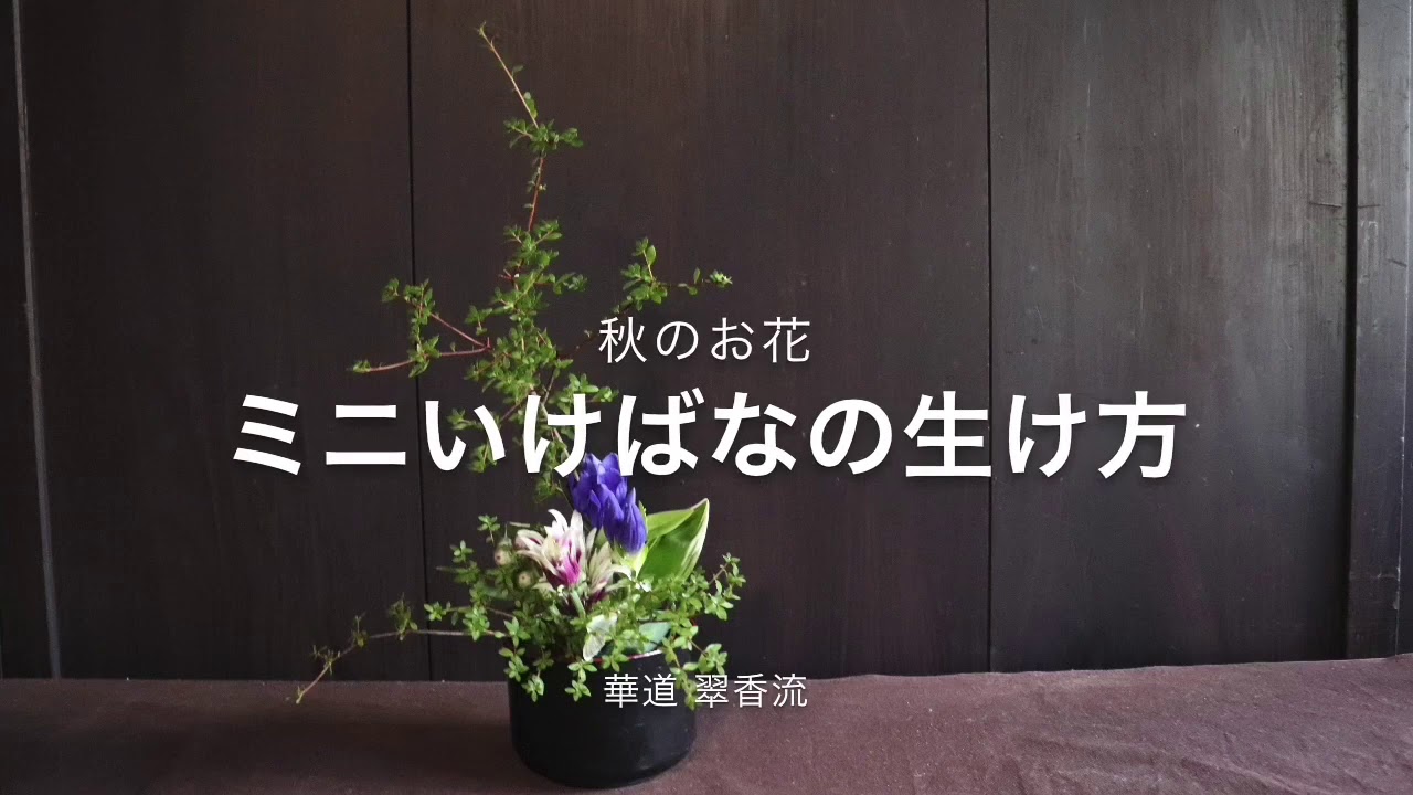 【ミニミニいけばな】誰でも簡単ミニいけばなの生け方