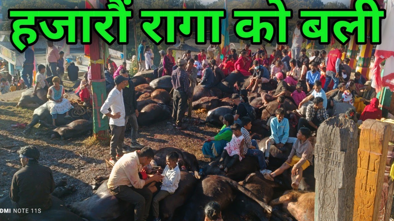 #बैतडी#देहिमाण्डौ बैतडी  मा  हजारौ रागा तथा बोका हरु को बलि सहित !! रमाईलो मेला सम्पन्न !!  PART 1