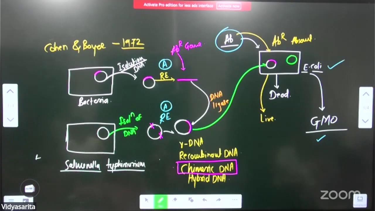 Human Reproduction L-46 | 04-02-26 | AMAR SHINDE SIR | Biology 11th B4 NEET | VSA