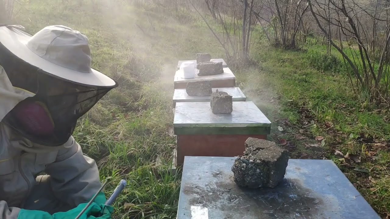 Oksalik asit buharlaştırma ile varroa temizliği.