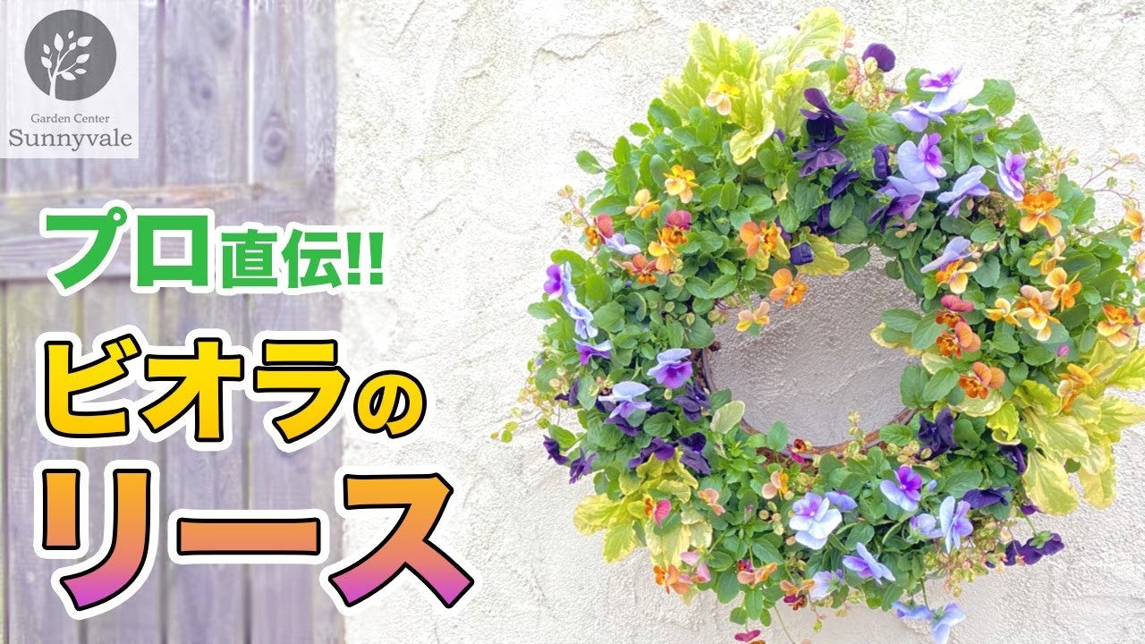【プロ直伝!!】ビオラのリース  #8