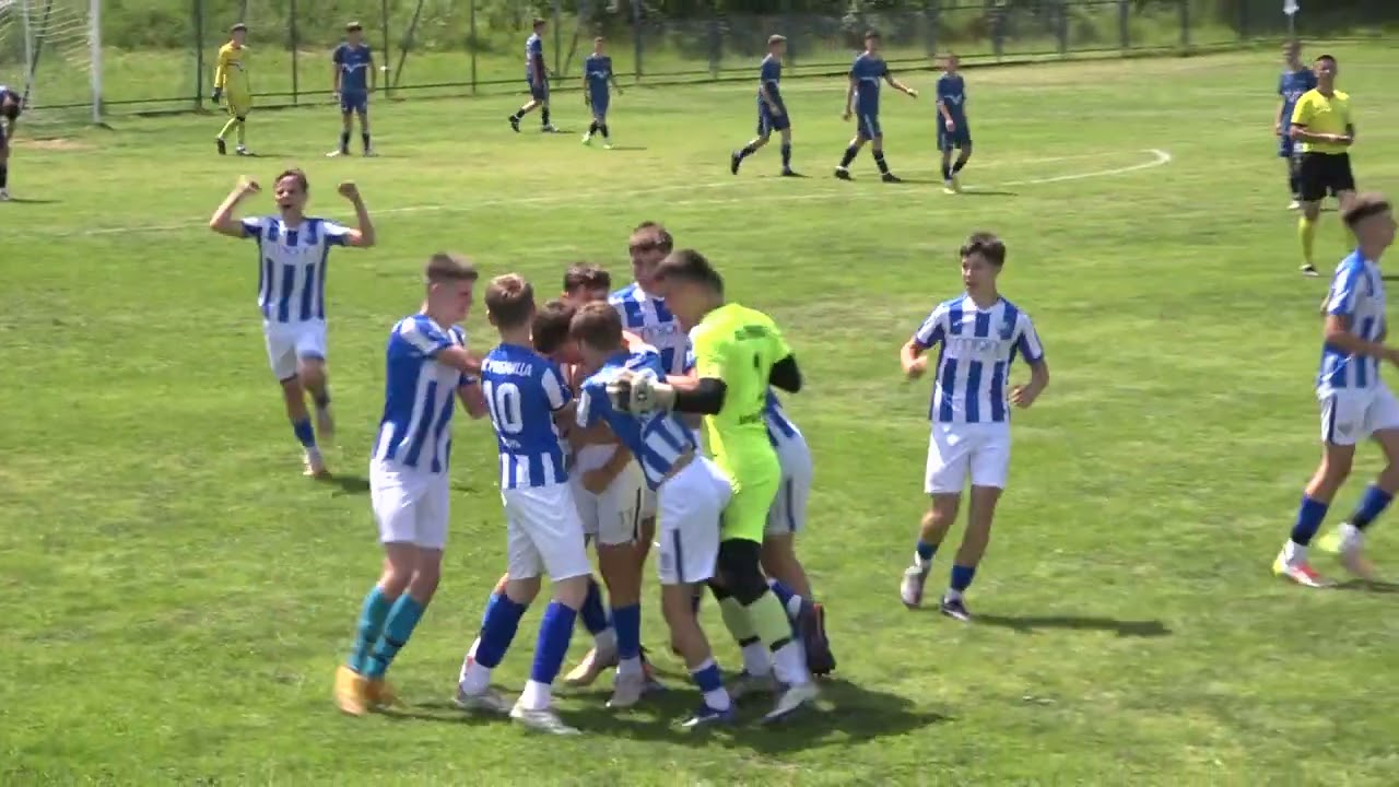 2. PIONIRSKA LIGA FSRZS RIBNICA Mionica - ŽELEZNICAR Lajkovac 3-0