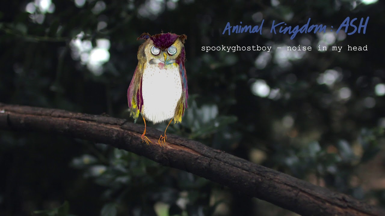 Noise in my Head by spookyghostboy (Official Audio) | Animal Kingdom